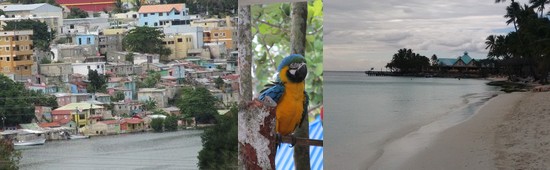 Croisière sur le Costa Favolosa : escale à La Romana (Republique Dominicaine)